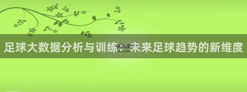  足球大数据分析与训练：未来足球趋势的新维度