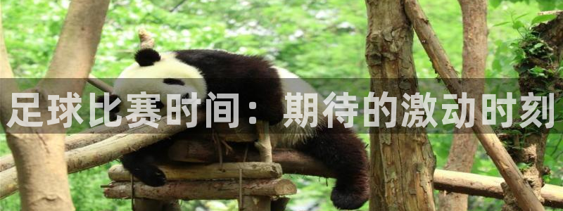  足球比赛时间：期待的激动时刻