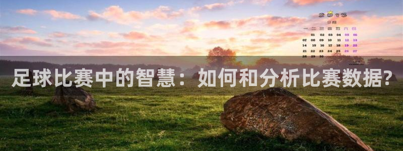  足球比赛中的智慧：如何和分析比赛数据?