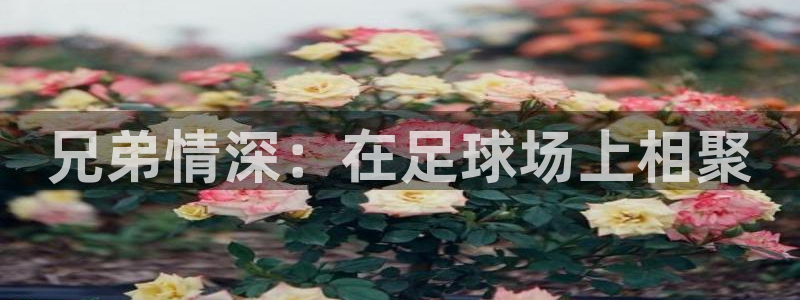  兄弟情深：在足球场上相聚