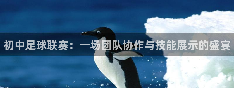 初中足球联赛：一场团队协作与技能展示的盛宴