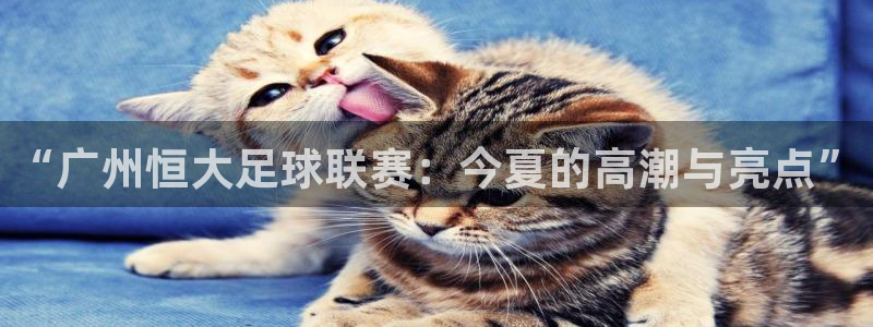  “广州恒大足球联赛：今夏的高潮与亮点”