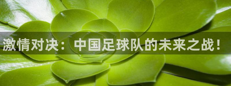  激情对决：中国足球队的未来之战！