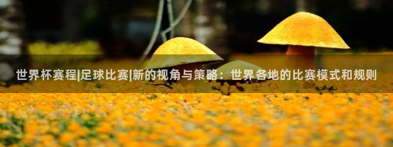  世界杯赛程|足球比赛|新的视角与策略：世界各地的比赛模式和规