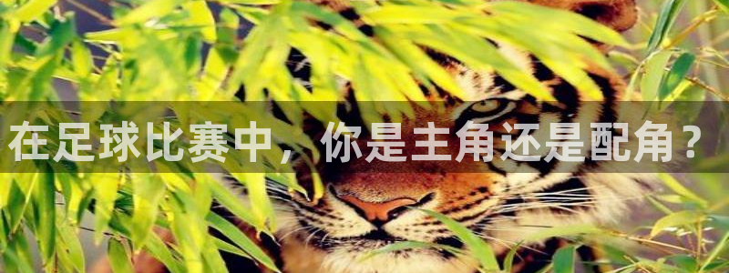  在足球比赛中，你是主角还是配角？