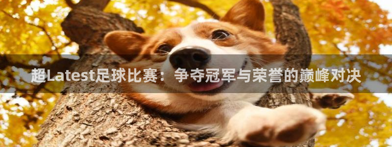  超Latest足球比赛：争夺冠军与荣誉的巅峰对决