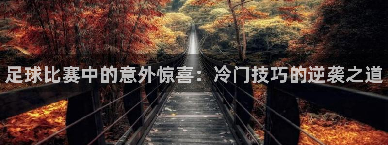 足球比赛中的意外惊喜：冷门技巧的逆袭之道