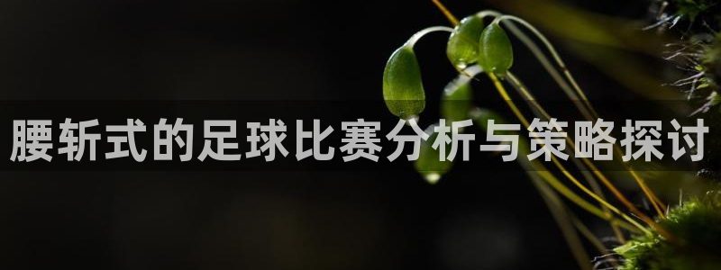  腰斩式的足球比赛分析与策略探讨