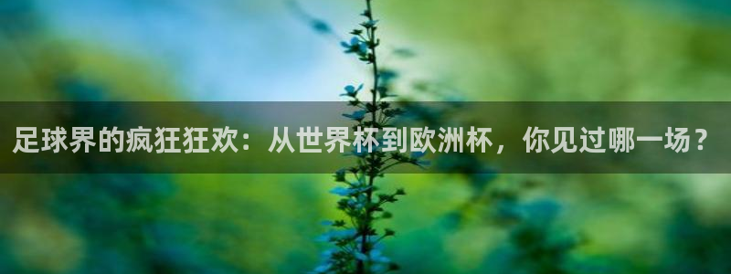 足球界的疯狂狂欢：从世界杯到欧洲杯，你见过哪一场？