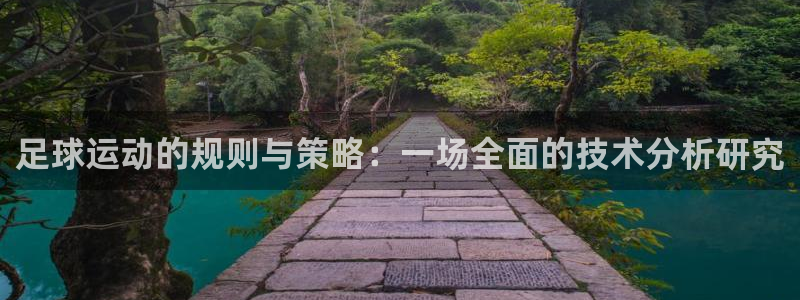 足球运动的规则与策略：一场全面的技术分析研究