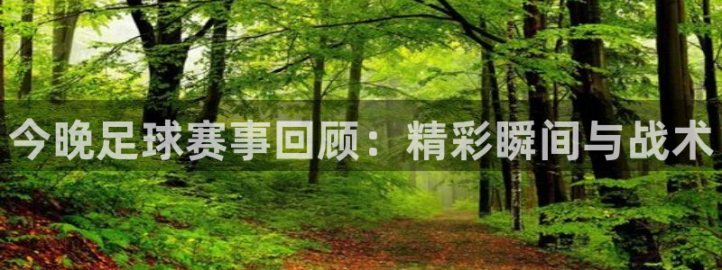今晚足球赛事回顾：精彩瞬间与战术