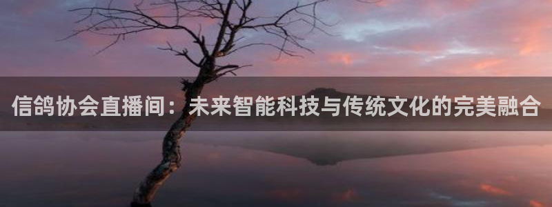 360足球直播雨燕：信鸽协会直播间：未来智能科技与传统文化的完美融合
