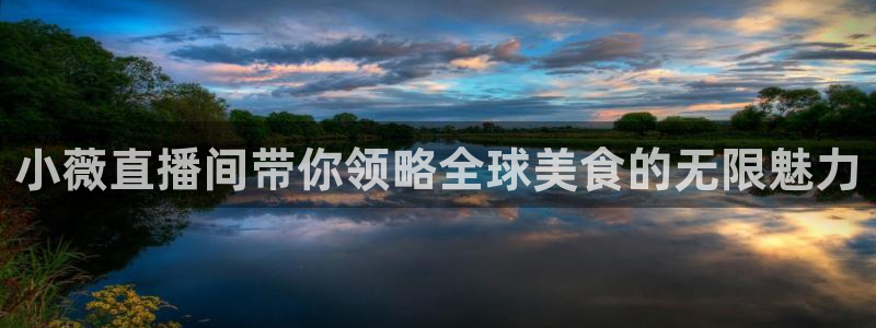 雨燕足球直播高清直播：小薇直播间带你领略全球美食的无限魅力