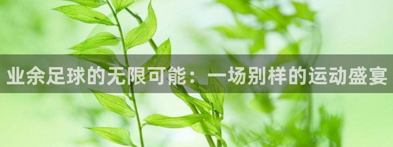 业余足球的无限可能：一场别样的运动盛