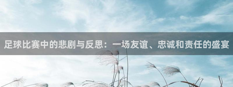 足球比赛中的悲剧与反思：一场友谊、忠