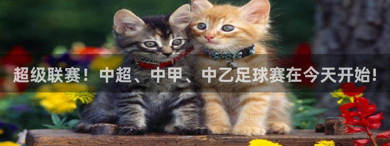 超级联赛！中超、中甲、中乙足球赛在今
