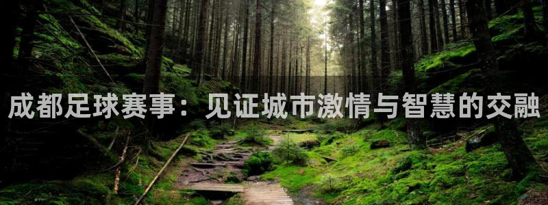 成都足球赛事：见证城市激情与智慧的交