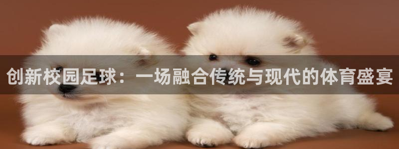 创新校园足球：一场融合传统与现代的体