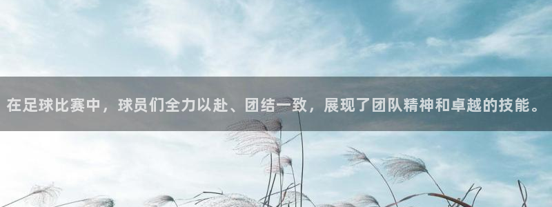 在足球比赛中，球员们全力以赴、团结一