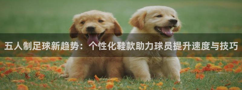 五人制足球新趋势：个性化鞋款助力球员