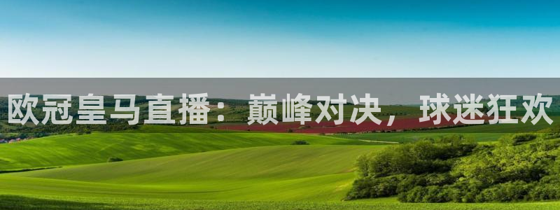 雨燕在线直播体育：欧冠皇马直播：巅峰对决，球迷狂欢