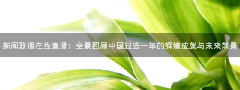 雨燕nba直播在线直播：新闻联播在线直播：全景回顾中国过去一年的辉煌成就与未来前景