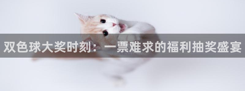 雨燕360nba直播：双色球大奖时刻：一票难求的福利抽奖盛宴