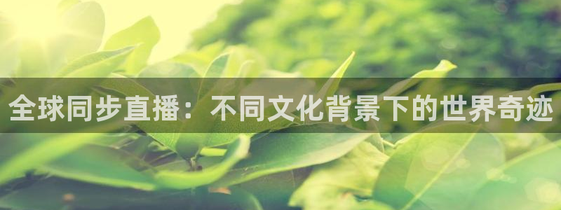 雨燕360体育免费直播高清视频大全：全球同步直播：不同文化背景下的世界奇迹