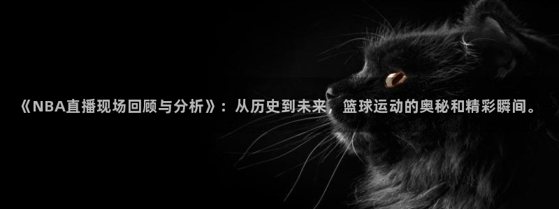 雨燕直播在线看球：《NBA直播现场回顾与分析》：从历史到未来，篮球运动的奥秘和精彩瞬间。