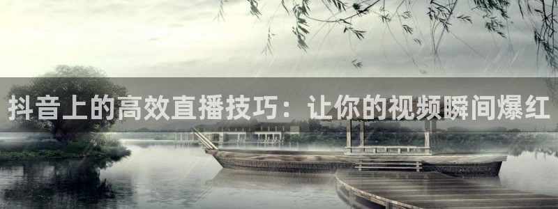 雨燕足球直播高清