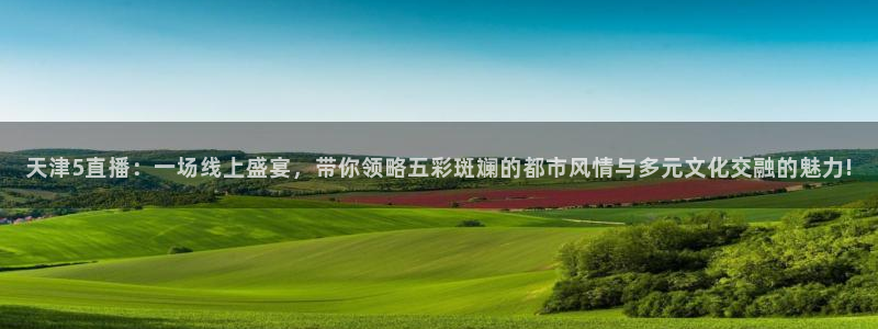 雨燕免费篮球直播