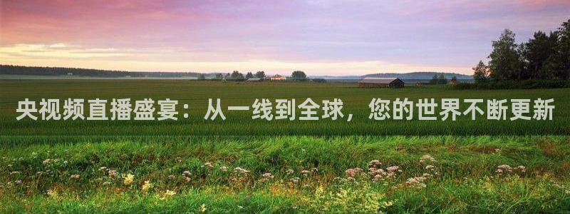 nba免费直播雨燕直播