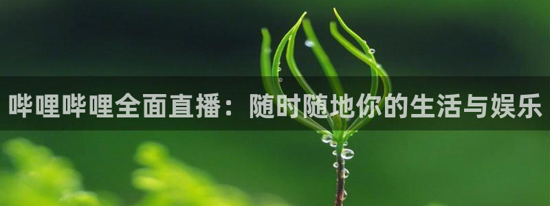 足球直播平台雨燕：哔哩哔哩全面直播：随时随地你的生活与娱乐
