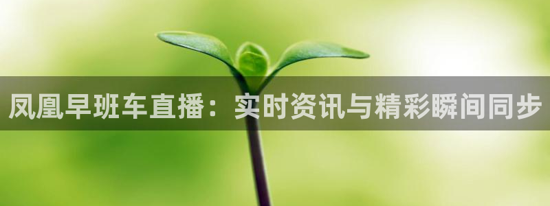 体育直播雨燕直播：凤凰早班车直播：实时资讯与精彩瞬间同步