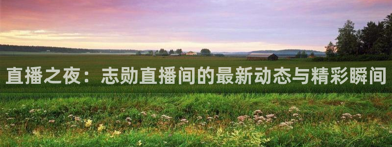 免费观看nba雨燕直播：直播之夜：志勋直播间的最新动态与精彩瞬间